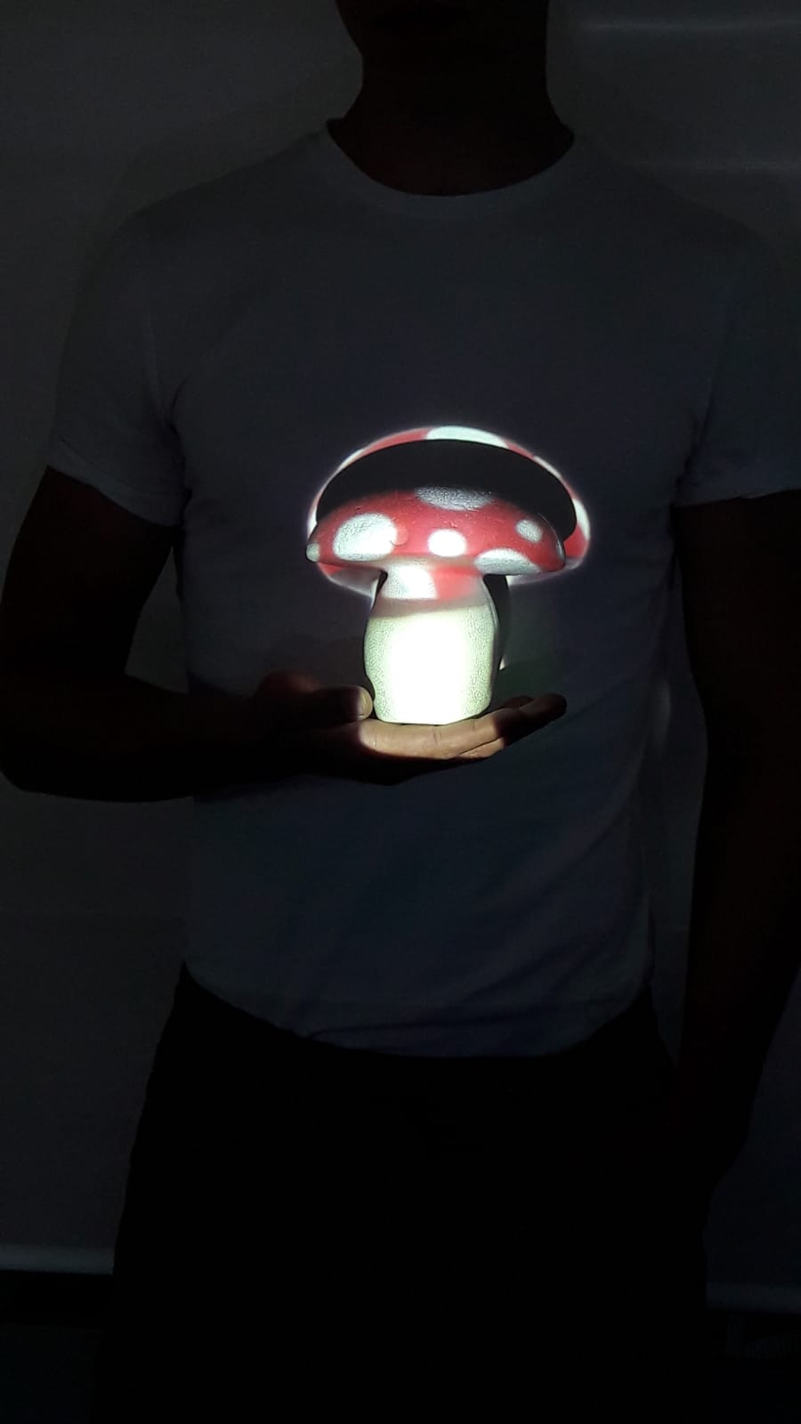 mushroom projected on a ball